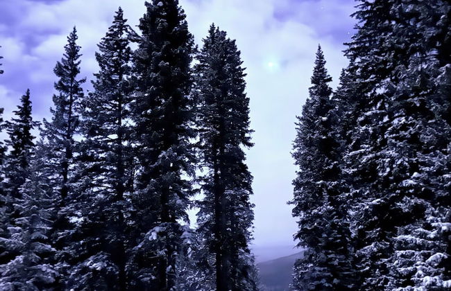 Lichen Huts - Foto 13