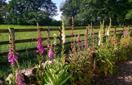 Newtonmill - Tranquillity in Rural Angus - Photo 21