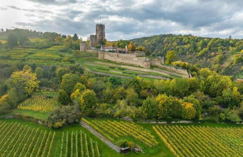 TinyHouse Pfalzperle - Auszeit nahe Deutsche Weinstraße & Therme - Foto 28