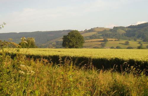 Lower Buckton Country Living Big House near Ludlow 6 bedrooms sleep 12 - Foto 48