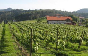 H&AP Rural Merrutxu - Foto 32