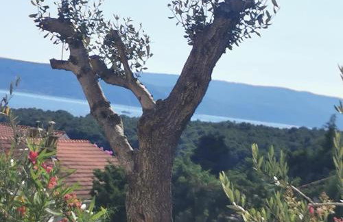 Apartman Franolic Punat - Foto 32