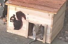 The Parkview House Wakefield - Foto 32