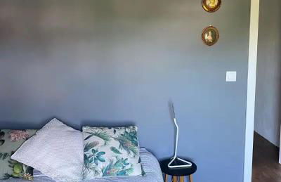 Casa 3 Picos 1 - Photo 47