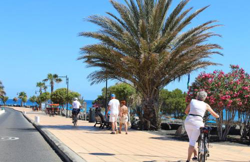 Las Mimosas - Foto 46