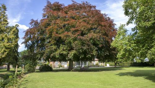 Pächterhaus - Ostholstein - Foto 3, Garden