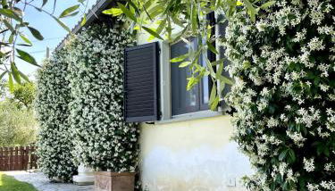 VillAmato Casa Vacanze - Foto 5