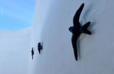 Casa da Andorinha - Foto 29