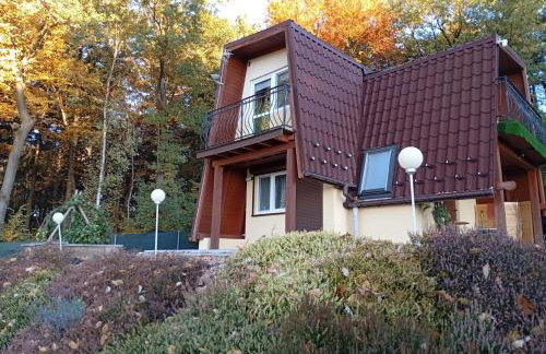 Szumią Dęby - Marcyporęba - Photo 45