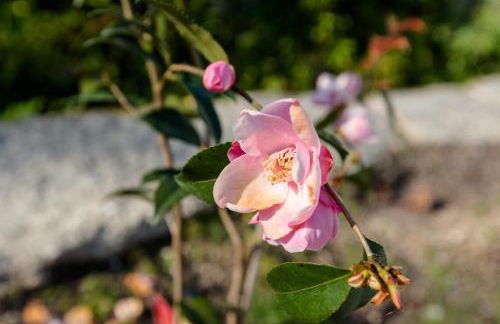 Casa Ponte da Vessada - Foto 54