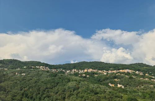 La Volpe e la Rosa - Foto 19