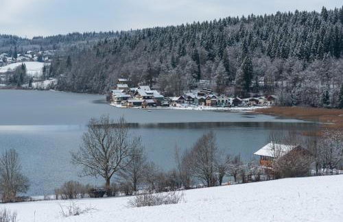 Notre Chalet - Boutique Appartements 4 étoiles & Sauna - Foto 42