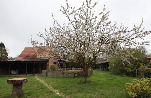 Ferienhaus in Wittendtsrp OT Pogress - Foto 50