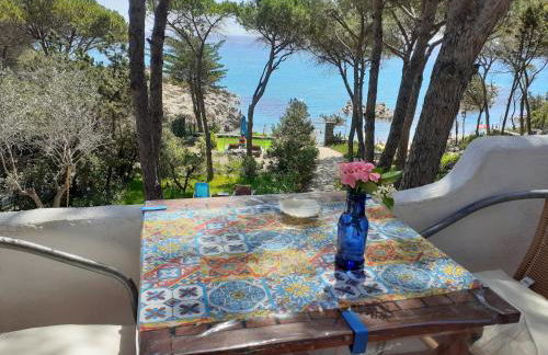 lamarzellina - Foto 15