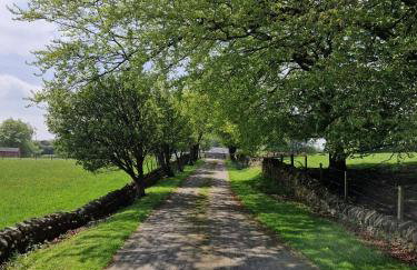 The Granary at High Brooms Farm - Foto 8