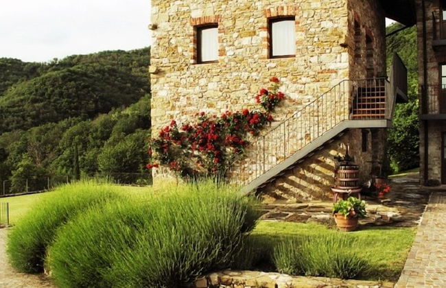 L'Uva e le stelle - Foto 45