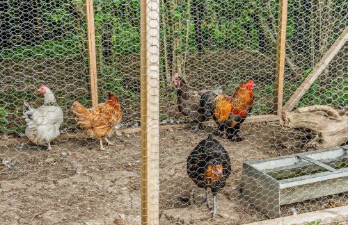 1 Bed in Newport oc-94188 - Foto 25