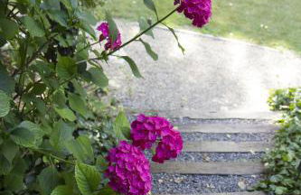 Molinos de Fuenteheridos - Foto 56