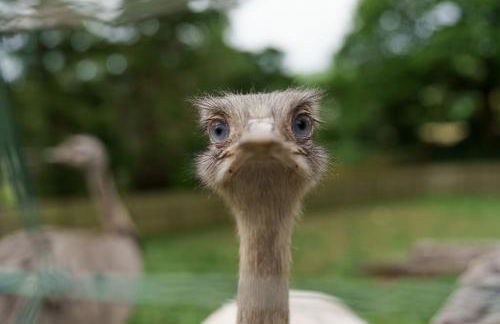 Millers Cottage - Photo 14