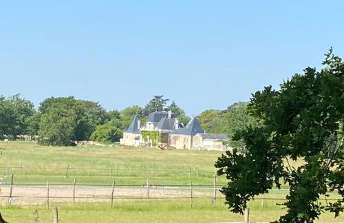 Richelieu et les mille châteaux - Foto 33