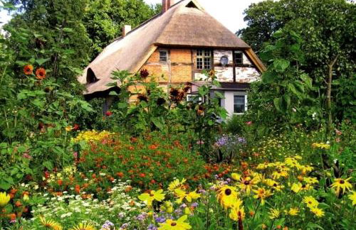 Ferienwohnung Birnengarten am Pfarrgarten Starkow - Foto 9
