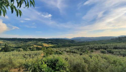 Agriturismo Fattoio alle Ripe - Foto 3