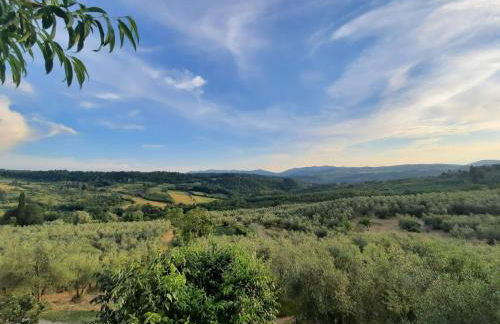 Agriturismo Fattoio alle Ripe - Foto 3