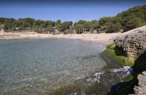 La Calma Montblanc Prenafeta - Photo 70