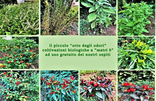 Sporting Club Resort - Foto 52