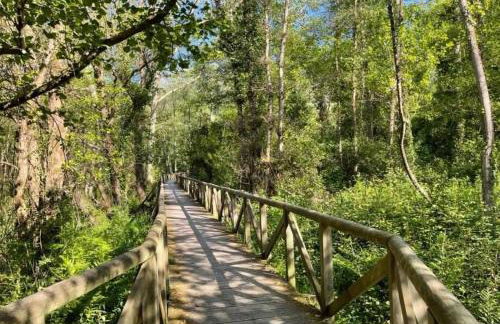 Apartamentos ELROSAL2 - Foto 12