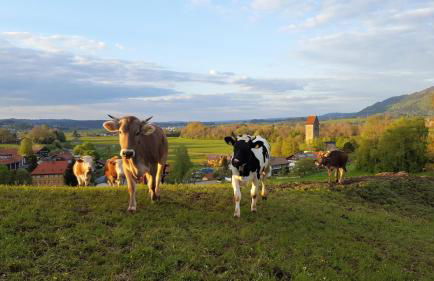 Ferienwohnung am Eichwald - Photo 50