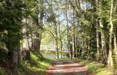 Elegance Mountain Edolo Ponte di Legno - Foto 20