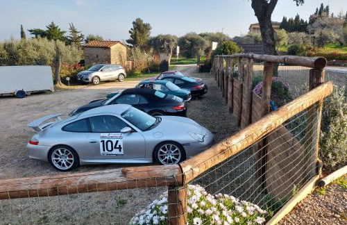 Agriturismo IL VECCHIO OLIVO - Foto 44