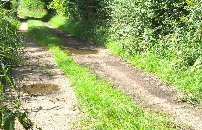 Holiday Home Near Dusseldorf Exhibition Centre - Foto 20