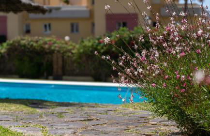 Seaview and big terrace Cabopino - Foto 30