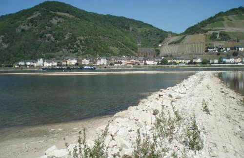 Weingut Theodor Nies - Foto 9