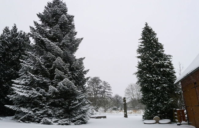 Spacious Holiday Home in the Teutoburg Forest - Foto 23