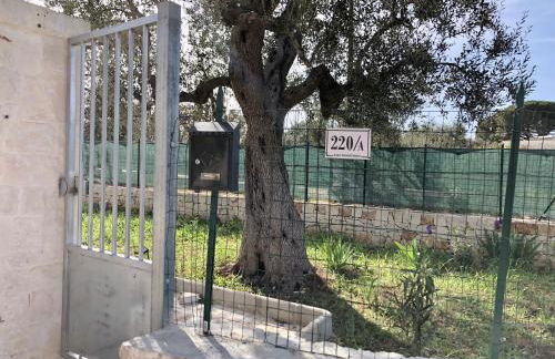 La dimora di Afrodite - Foto 24