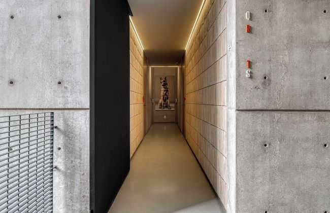 Boga Mexico City by Lumina - Foto 73