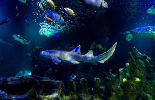 Wonderful apartment in Costa Del Sol - Foto 42