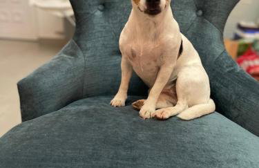 TOTO I LALA - Photo 15