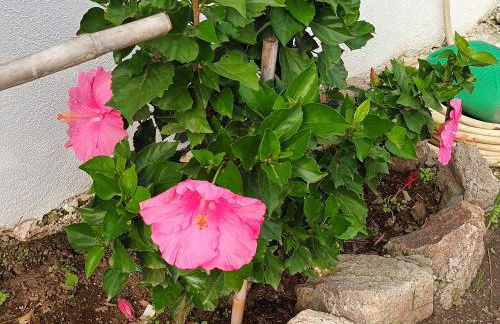 Terrazza sul Mare holidays with experiences - Foto 11