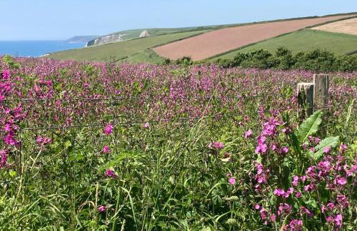 4 Cumberland Cottages - Foto 28