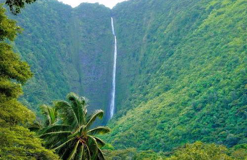 Hale “Hā Hā” - Photo 26