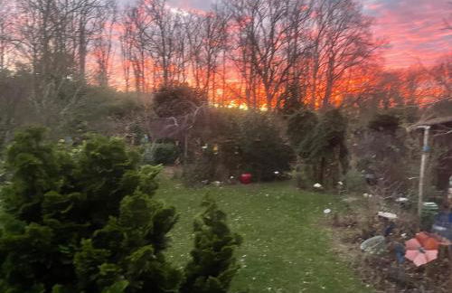 Un jardin en forêt - Foto 16