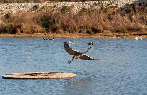 LA TERRAZZA DI PUGLIA - Foto 40