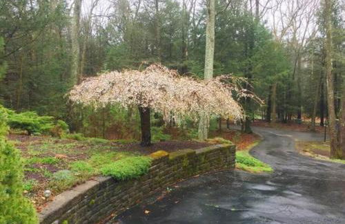 NatureGlow Residence Stylish Contemporary Home - Foto 36