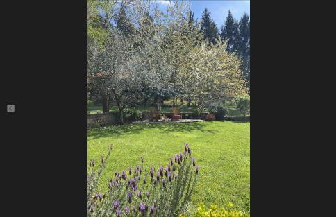 Il giardino segreto - Foto 19