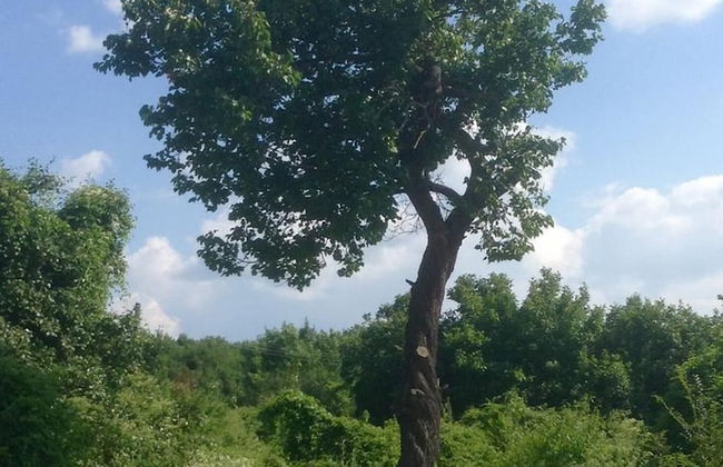 Stunning 3-bed Villa in the Small Village - Photo 9