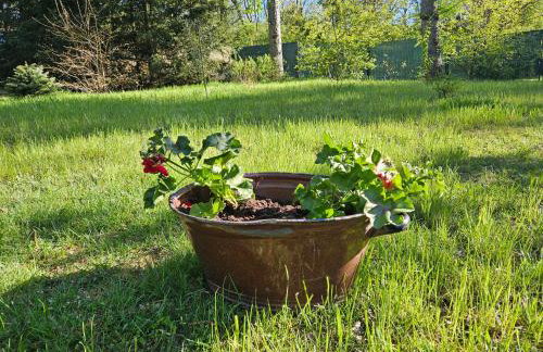 Domek Jelonek nad jeziorem i rzeką - Foto 6